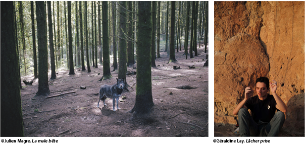 Photographies à la Bnf