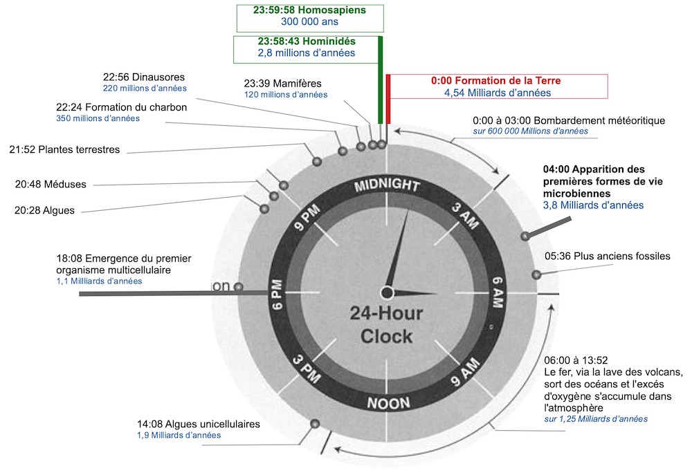 HISTOIRE DE LA VIE SUR 24H