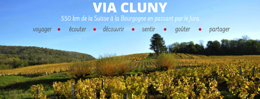 Lettre d'Information, n°13