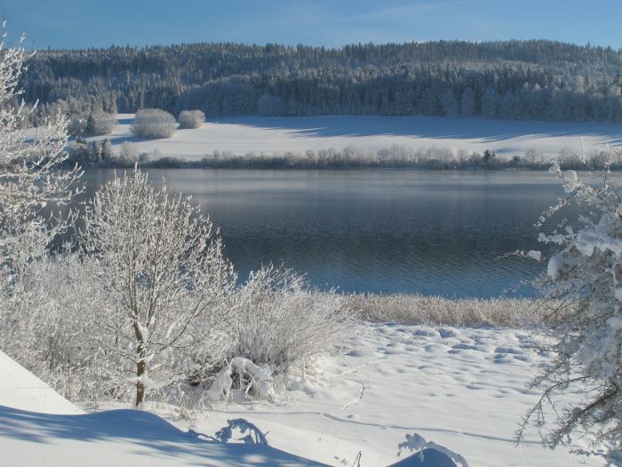 Lac de Saint-Point