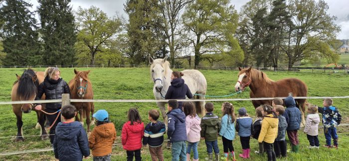 Journée équithérapie