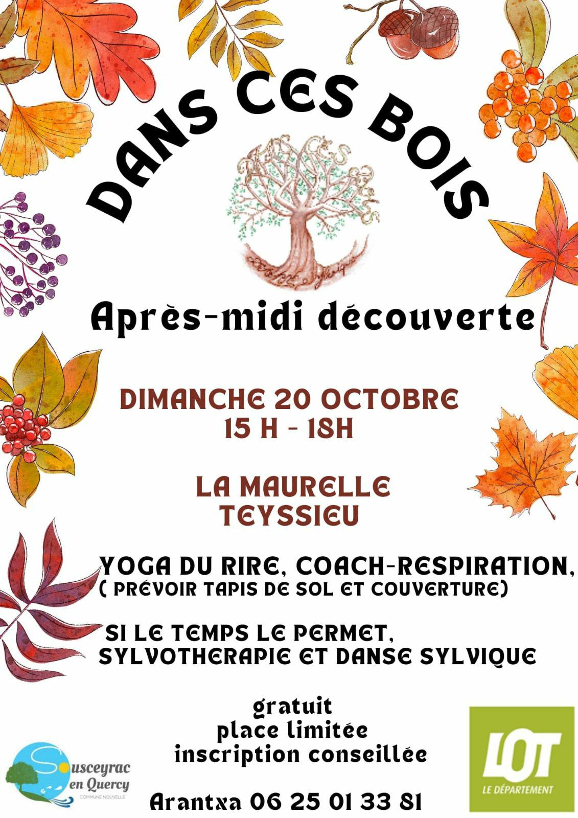 Dans ces bois 20/10